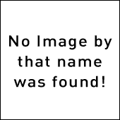 X501 là mẫu điện thoại có kiểu dáng thanh truyền thống.